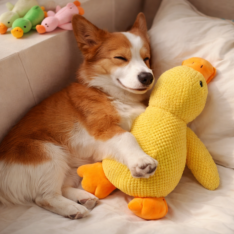 Soft Plush Duck Toy for Dogs – Cozy Comfort & Cuddle Buddy
